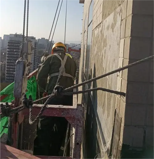 1700444528612240.png 1.png